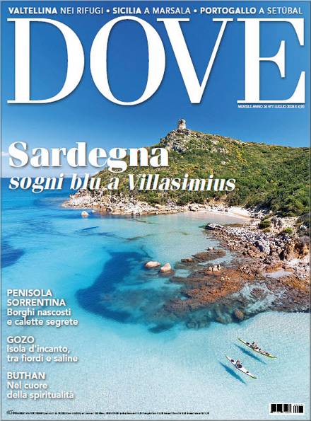 Dove №7 2024