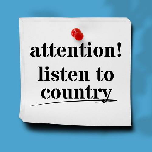 Attention! Listen to Country (2024) FLAC