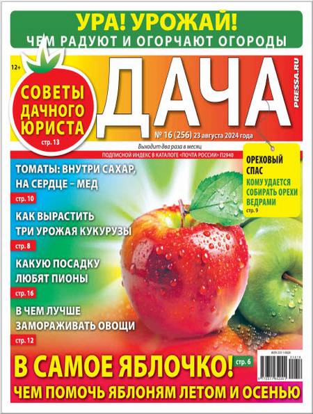 Дача №16 (август 2024)