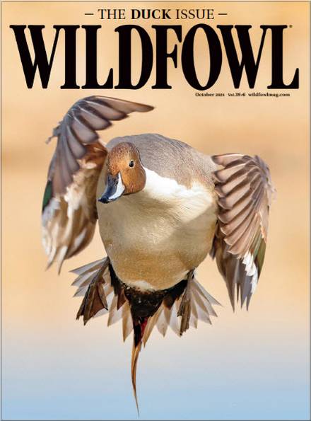 Wildfowl №6 2024