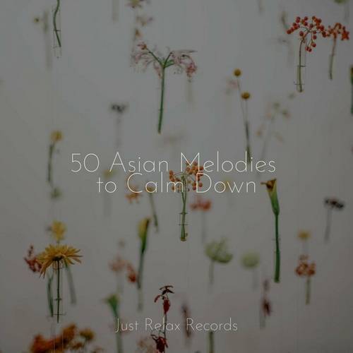 Ambient - 50 Asian Melodies to Calm Down (2024) FLAC