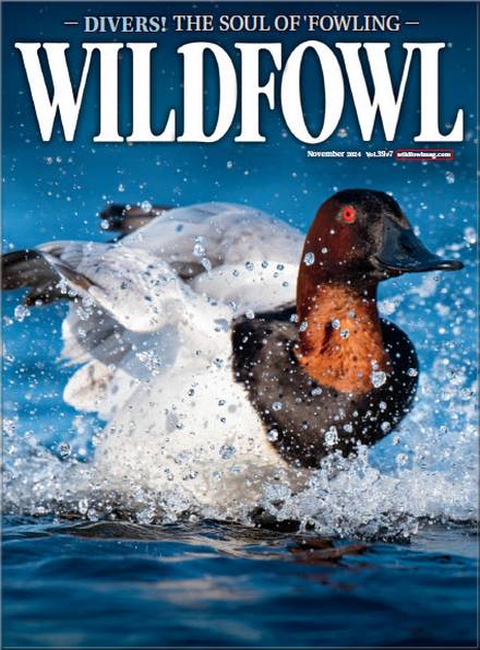 Wildfowl №7 2024