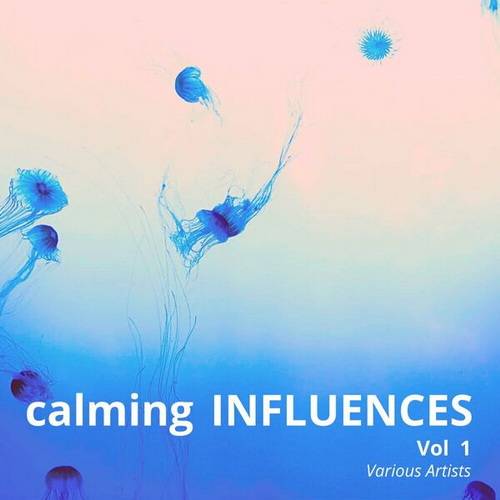 Calming Influences Vol 1 (2024) FLAC