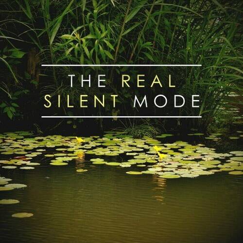 The Real Silent Mode (2024) FLAC