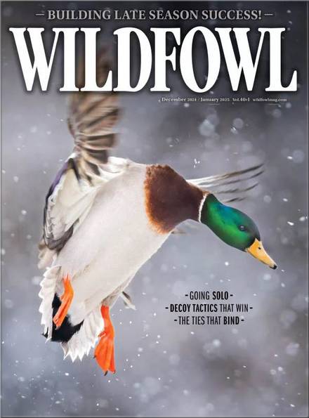 Wildfowl №12/1 (December 2024 - January 2025)